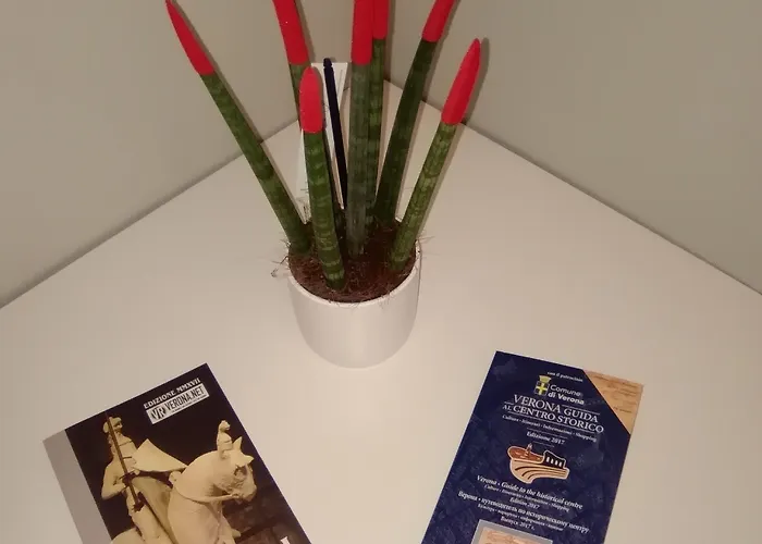 Fontana מלון ורונה