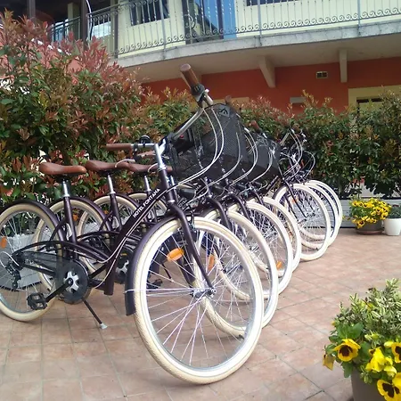 Fontana ヴェローナ